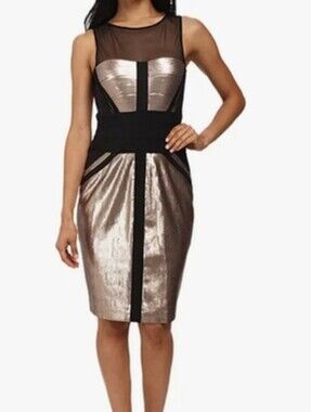 EUC, BCBG Maxazria Evening Dress